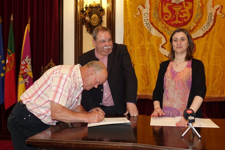 Protocolos 156 Large